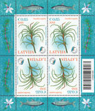 [Flora - Fine Najda, тип AER]