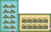 [Latvian Birds, ประเภท AAP]