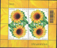 [Flowers - Sunflower, type AAI]