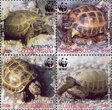 [WWF - Tortoises, प्रकार XQA]