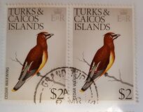 [Birds, type ET]