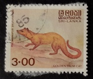 [Animals, Typ DI1]