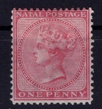[Queen Victoria - Inscription: "NATAL POSTAGE", type N]