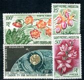 [Flowers, වර්ගය CT]