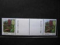[Flora - Orchids, Tip AB]