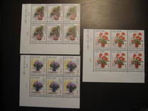 [The prevention of tuberculosis - Flowers, type WT]