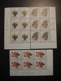 [The prevention of tuberculosis - Flowers, type WT]