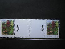 [Flora - Orchids, loại AB]