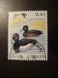 [Birds - Ducks, type P]