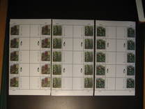 [Flora - Orchids, 유형 AB]