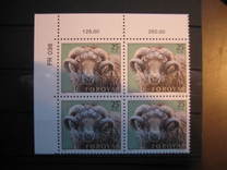 [Faroese Ram, тип AE]