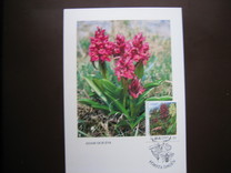 [Flora - Orchids, 유형 AB]