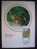 [Animals in Nature, Scrivi AN]