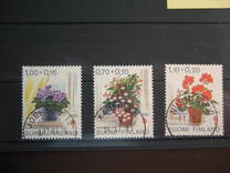 [The prevention of tuberculosis - Flowers, type WT]