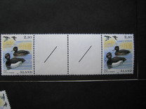 [Birds - Ducks, tegund P]