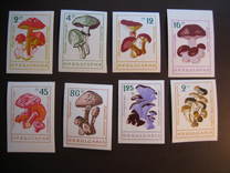 [Mushrooms - Imperforated, տեսակ ANP1]