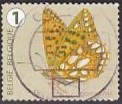 [Butterflies, Tipi XLC]