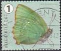 [Butterflies, Tipi XLD]