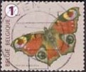 [Butterflies, Tipi XLE]