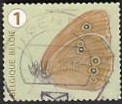 [Butterflies, Tipi XLG]