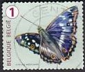 [Butterflies, Tipi XLJ]