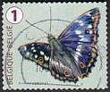 [Butterflies, Tipi XLJ]