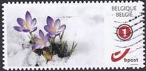 [Postal Emblem - Personalized Stamp, タイプ EBO]