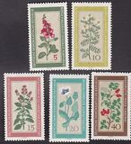 [Medicinal Plants, տեսակ OK]