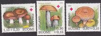 [Red Cross charity - Edible mushrooms, Scrivi WA]