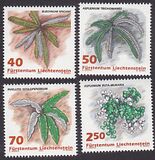 [Ferns, type AKL]