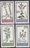 [Flora., tipo ALI]