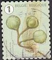 [Definitives - Tree Fruits and Nuts, type FHL]