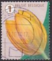[Definitives - Flowers, type XSN8]