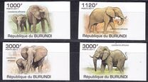 [Fauna - Elephants, Scrivi BLM]