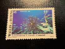 [Undersea Fauna, type IM]