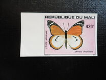 [Butterflies, type AAT]