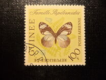 [Butterflies, տեսակ BK3]