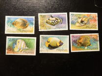 [Fish, type ANJ]