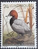 [Ducks, type ARQ]