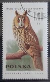 [Owls, type DEC]