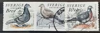 [Doves and Pigeons, type BTG]