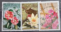[Feria floral de Gante., tipo ALK]