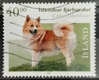 [Sheep Dogs, type AAY]