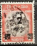 [Local Motifs, type CD2]