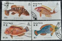 [Peces., tipo GN]