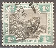 [Tiger, tip C]