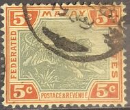 [Tiger, tip C3]