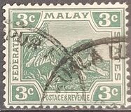 [Tiger - Different Watermark, 类型 C44]