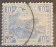 [Tiger - Different Watermark, 类型 C52]