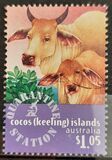 [Cocos Quarantine Station, tegund MJ]